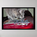 Zoek naar gitaar posters Gitaren