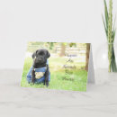 Zoek naar ophaling kaarten Puppy
