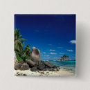 Recherche de seychelles badges Mer