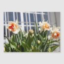 Recherche de merci carder magnets Photographie