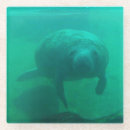 Zoek naar manatee onderzetters Dieren