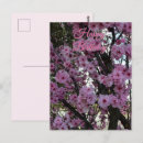 Recherche de arbre fleurissant Pour elle