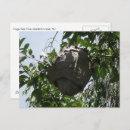 Recherche de ruche cartes postales Pour tous