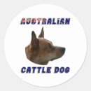 Recherche de chien de bétail cadeau emballages Amoureux des chiens