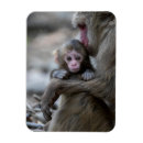 Recherche de animal sauvage magnets Primate