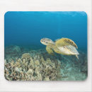 Recherche de tortue verte tapis souris Océan