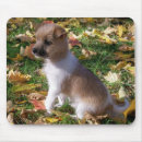 Recherche de jack russell tapis souris Feuille