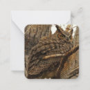 Recherche de de hibou correspondances cartes Chouette