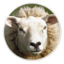 Recherche de agriculture boutons et poignées de porte Fermes