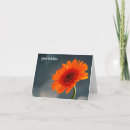 Recherche de gerbera vœux cartes D'anniversaire
