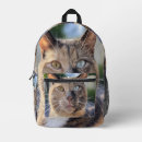 Recherche de photos des chats sacs Pour animaux