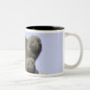 Recherche de delta tasses Dehors