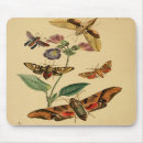 Recherche de entomologie tapis souris Insectes