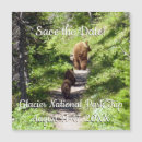 Recherche de yellowstone invitations Bison