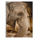 Recherche de éléphant carnets Paysage