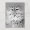 Recherche de chat persan cartes postales Portrait