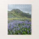 Recherche de beau pourpre photographie Fleurs