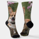 Zoek naar corgi sokken Huisdier