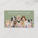 Recherche de chien de promenade cartes visite Soins aux animaux