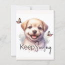 Recherche de chiots cartes postales Mignon