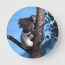 Recherche de koalas horloges Ours de koala