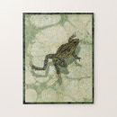 Zoek naar kikker puzzels Natuur