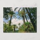 Recherche de palmiers cartes postales Voyage