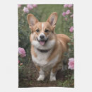 Recherche de corgi cuisine linges Dog