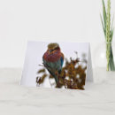 Recherche de tanzanie vœux cartes Afrique