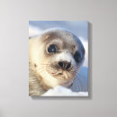 Recherche de le canada impressions sur toile Dehors