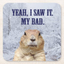 Recherche de marmottes dessous de verres Rongeur