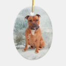 Recherche de staffie ornements Noël