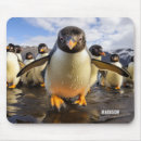 Recherche de mousepads drôles pingouin tapis souris Nature