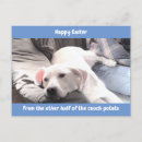 Recherche de pâques drôle cartes postales Chiot
