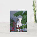 Zoek naar libel kaarten Macro