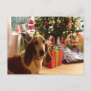 Recherche de chien triste cartes postales Vacances