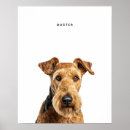 Zoek naar airedale terrier kunst Puppy
