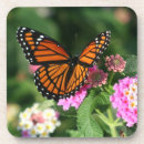 Recherche de papillon monarque dessous de verres Beau