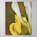 Zoek naar iris bloem posters Tuin