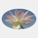 Recherche de lotus bleu autocollants Rose