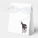 Recherche de chèvres ballotins Animal