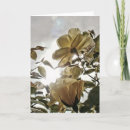 Zoek naar sun kaarten Tuin