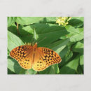 Recherche de papillon orange cartes postales Fleur