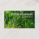 Recherche de herbe cartes visite Aménagement paysager