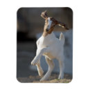 Recherche de l enfant magnets Jour