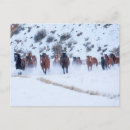 Recherche de cheval sauvage cartes postales Quart de cheval