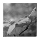 Recherche de bois blanc carreaux Nature