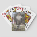 Recherche de queue jeux de cartes Oiseau