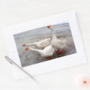 Recherche de neige rectangles autocollants Animaux