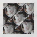 Recherche de porc drôle invitations Fête
